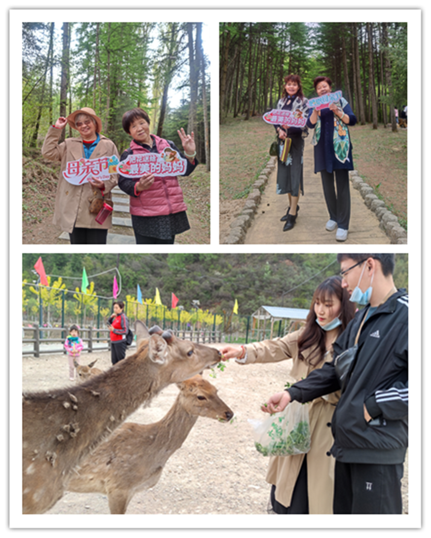 202205101652144856431135.png 640.png