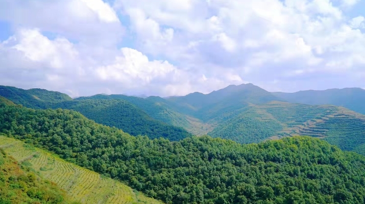 202403261711416484311808.jpg 微信图片_20240326092725_副本.jpg