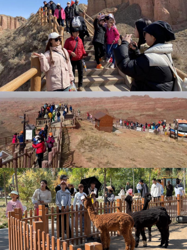 202404081712538573378335.png 640_副本.png