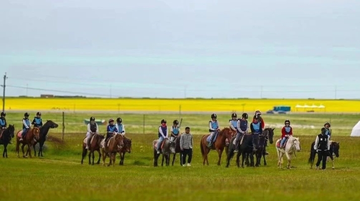 202407111720664036603735.jpg 1_副本.jpg