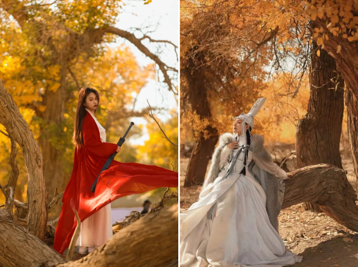 202410211729471122105100.png 1_副本.png