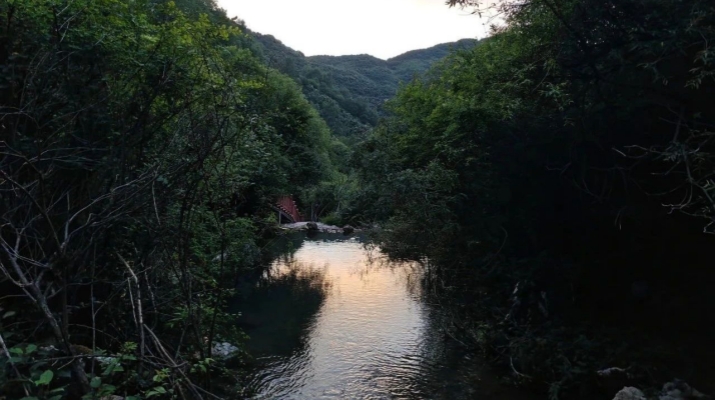 202504171744850162788471.jpg 微信图片_20250417083243_副本.jpg