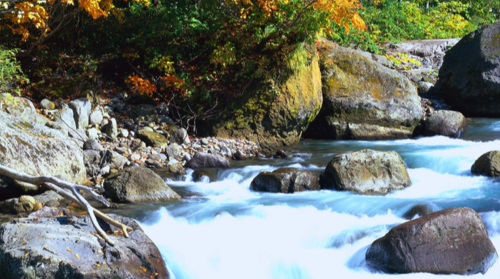 202504171744850178521545.png 微信图片_20250417083247.png