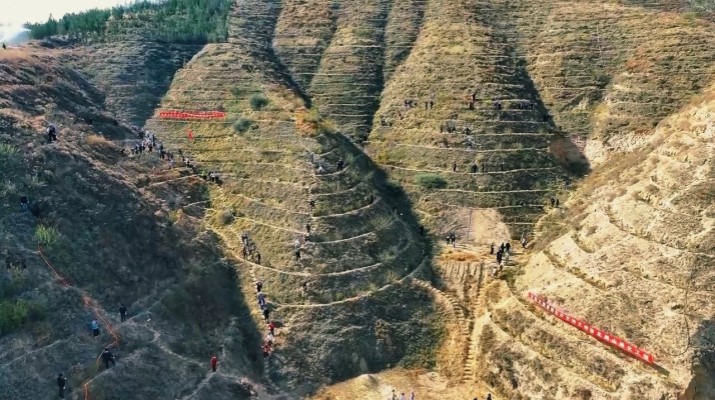 202504251745541051131393.jpg 微信图片_20250425082948.jpg