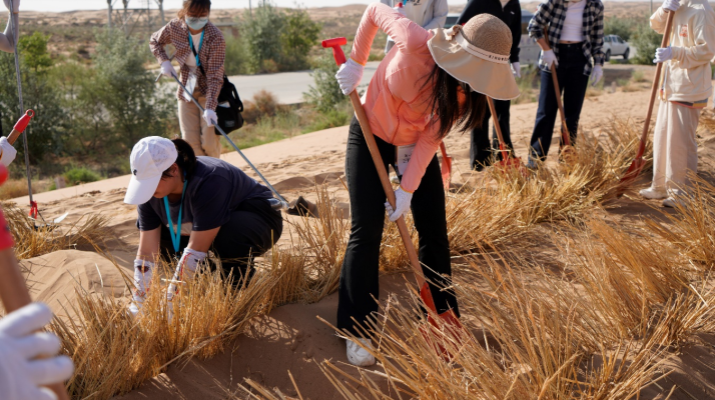 202505221747874548119004.png 图片2.png