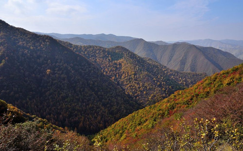 9_副本.jpg 9_副本.jpg